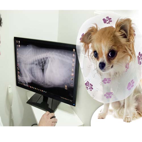imagenologia